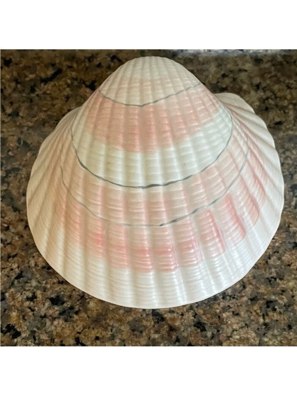 Vintage Striped 3-D Pink and White Decorative Porcelain Realistic Shell